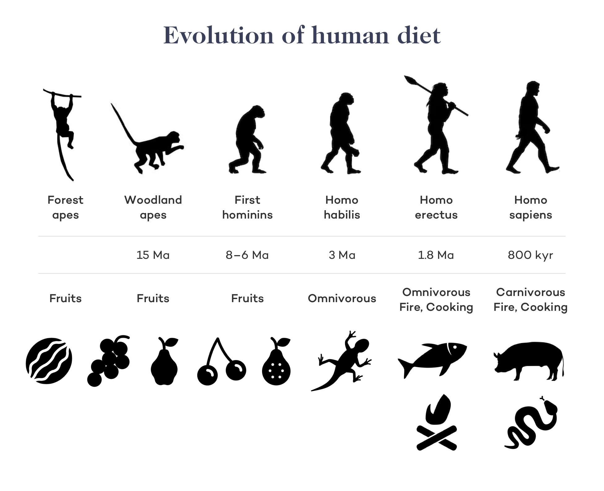 The Keto Diet and Human Evolution - Dr. Robert Kiltz