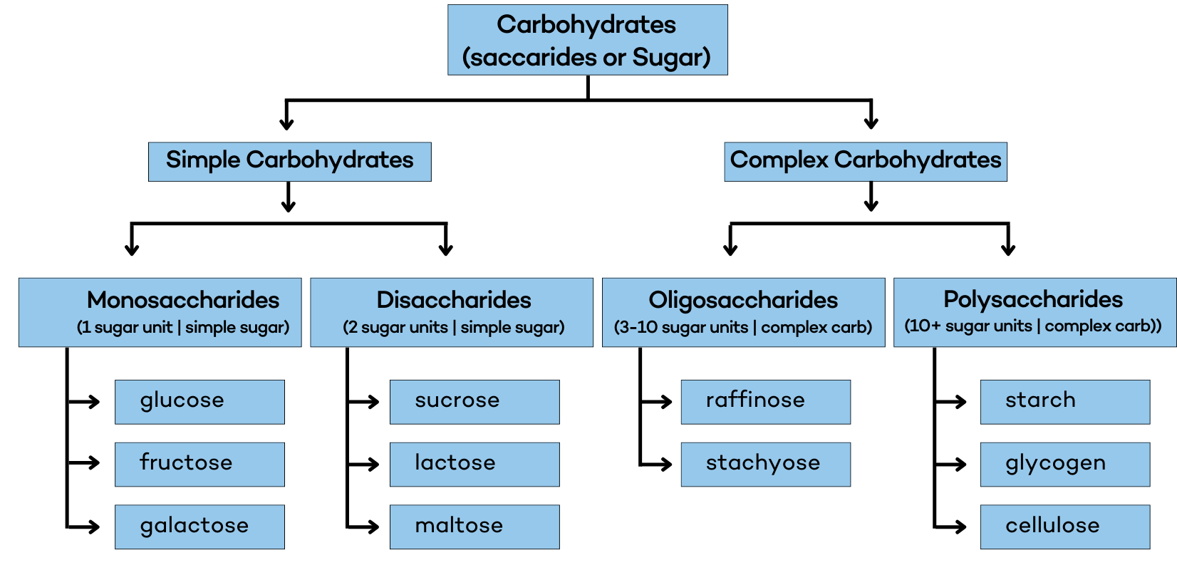 What Are Carbs? And What Do They Do To Us? - Dr. Robert Kiltz