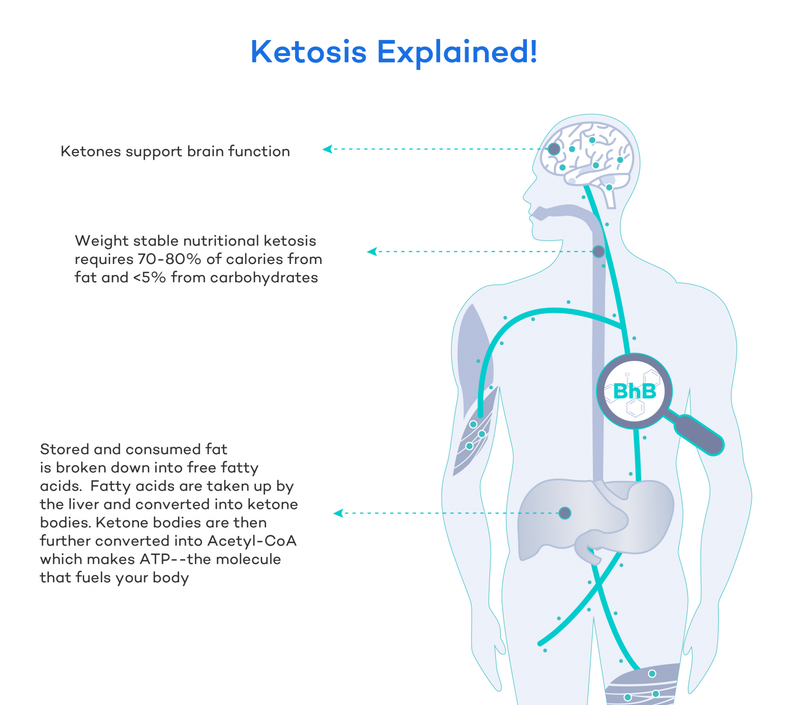 Ketosis Explained What It Is Benefits And How To Achieve It Dr Robert Kiltz 0392