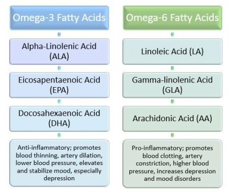 Types Of Fat In Food Everything You Need To Know Dr Robert Kiltz