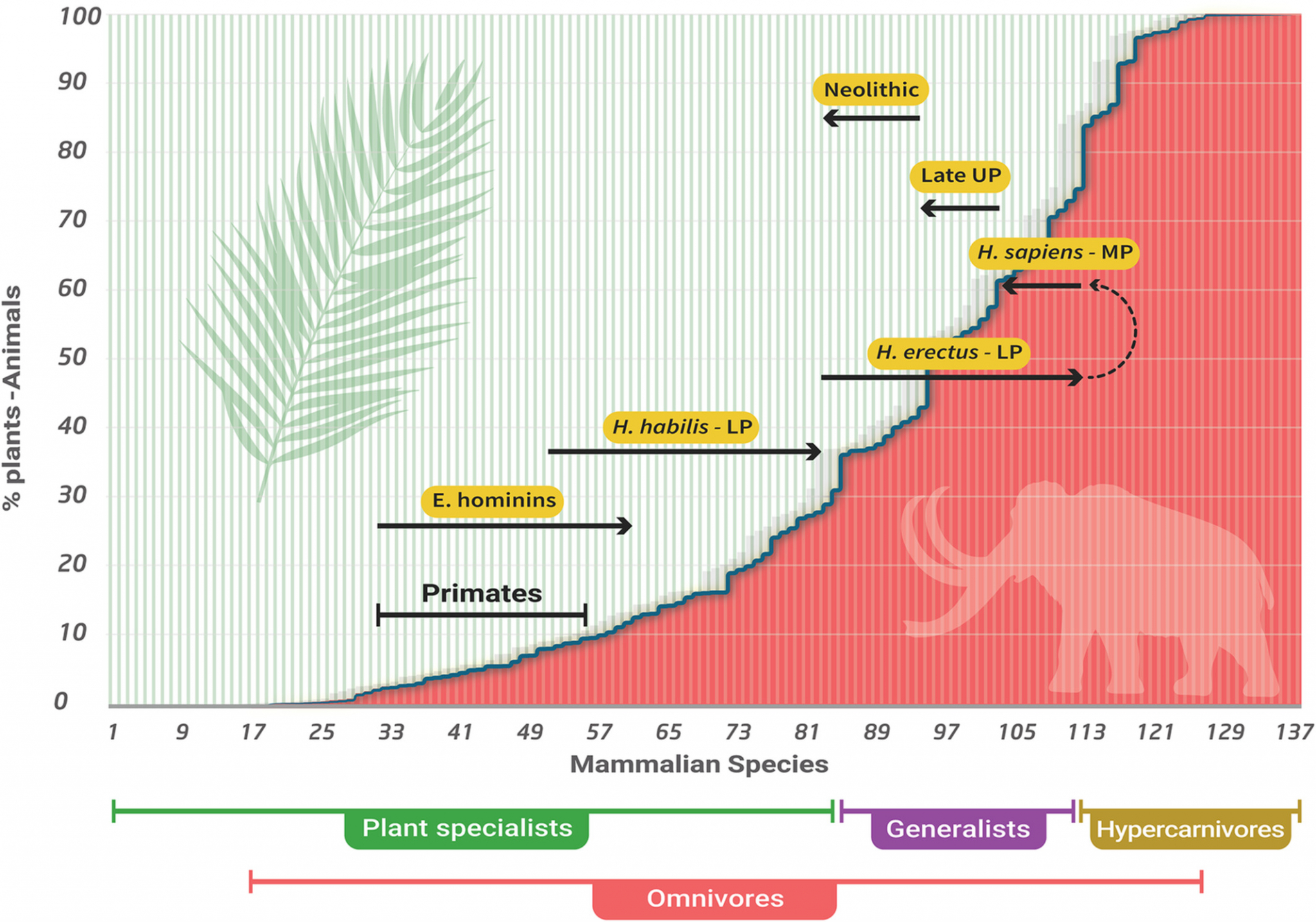 what-did-cavemen-eat-lots-of-meat-new-study-reveals-dr-robert-kiltz