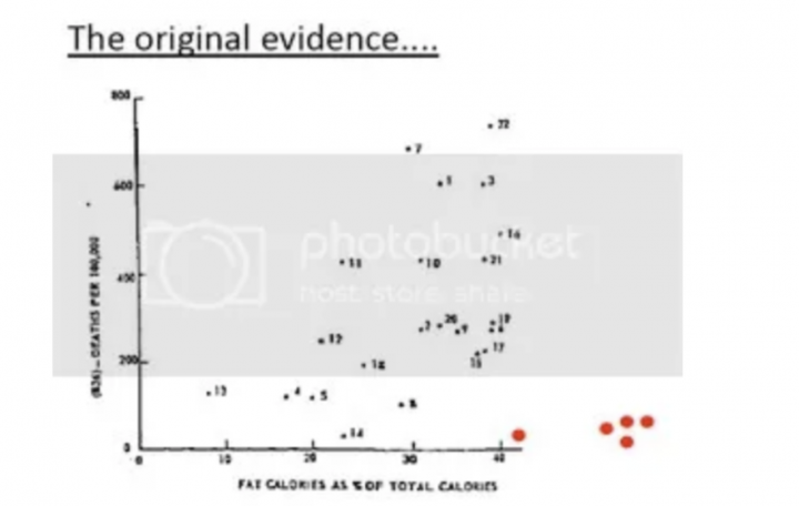 is-animal-fat-good-for-you-the-science-on-why-it-s-the-optimal-food