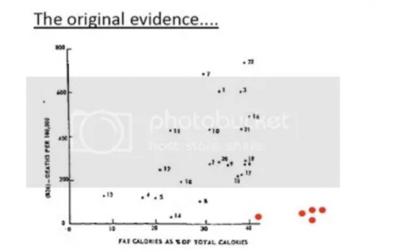 is-animal-fat-good-for-you-the-science-on-why-it-s-the-optimal-food