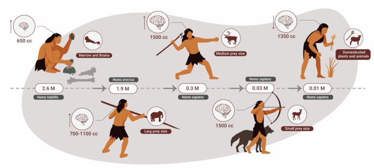 is-animal-fat-good-for-you-the-science-on-why-it-s-the-optimal-food