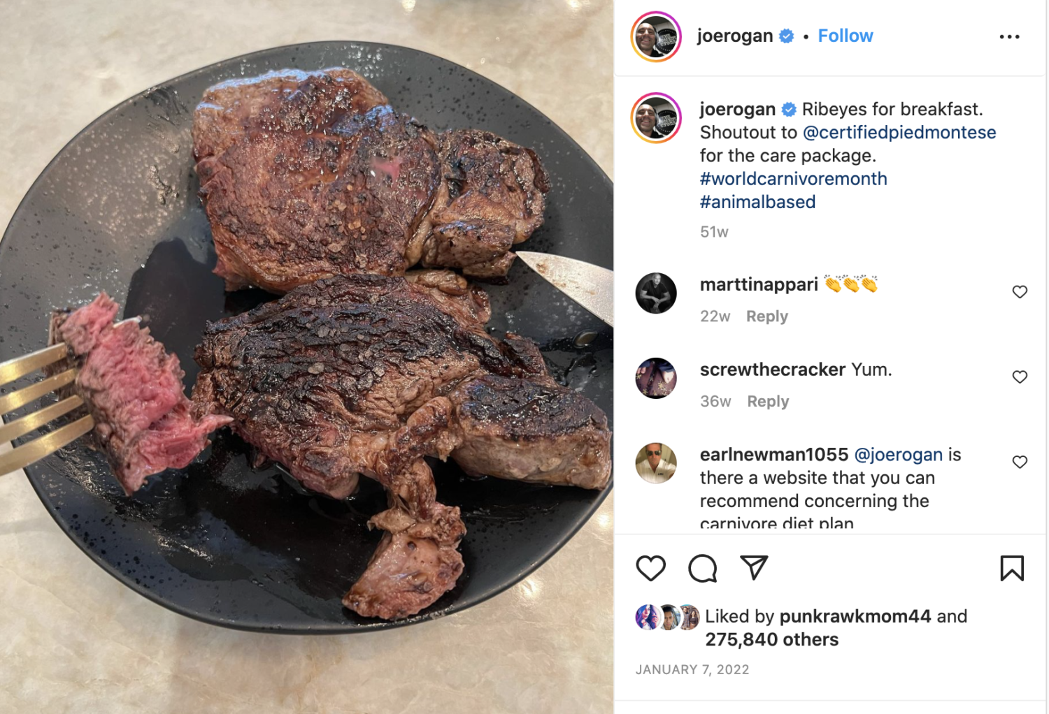 Joe Rogan Carnivore Diet