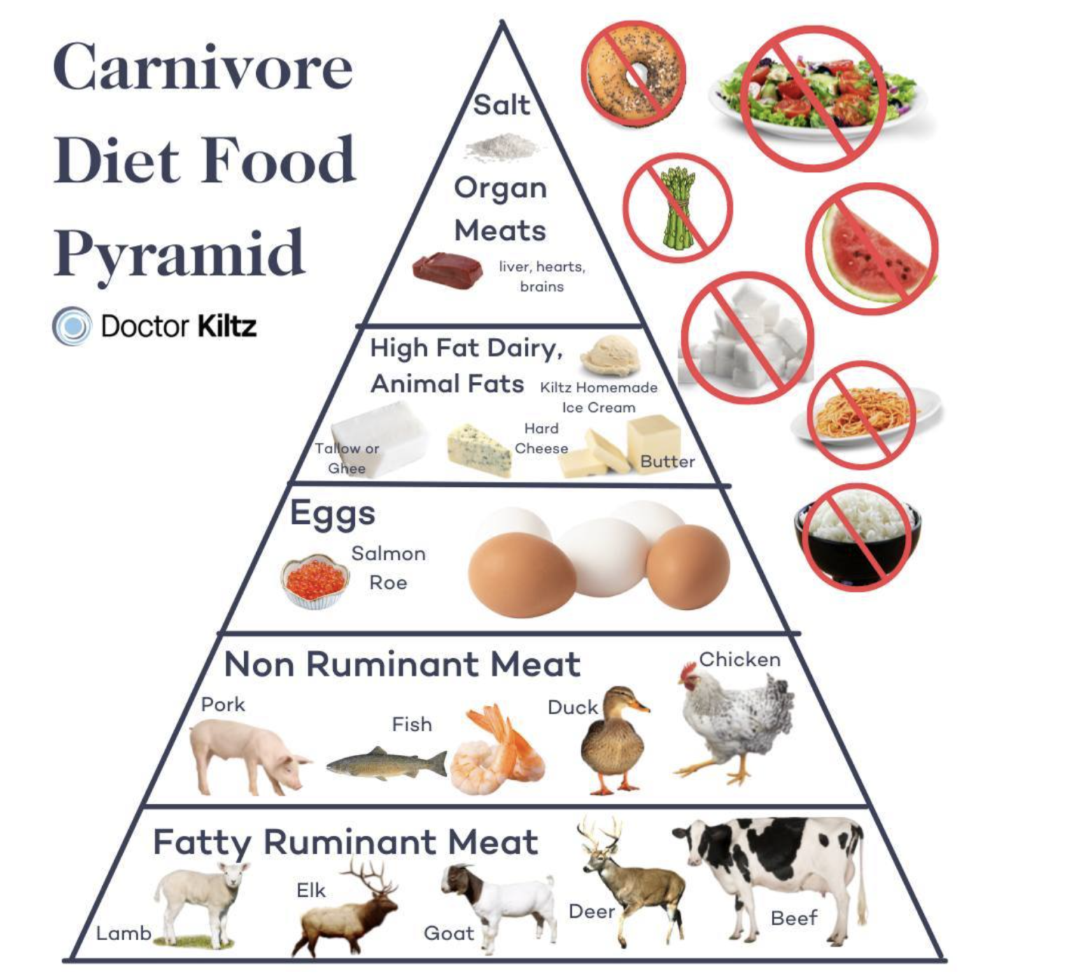 The Dr. Ken Berry Carnivore Diet 21 Tips and Food List Dr. Robert Kiltz