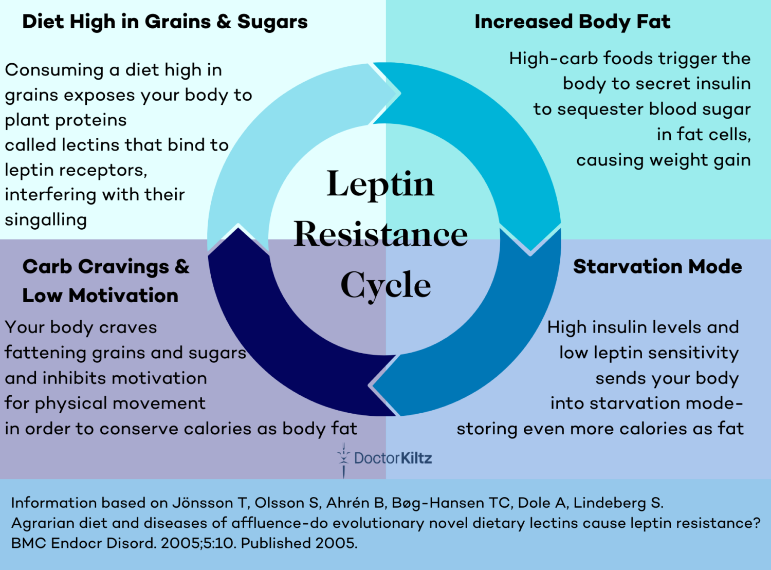 What Is Leptin Resistance And How To Reverse It? - Dr. Robert Kiltz